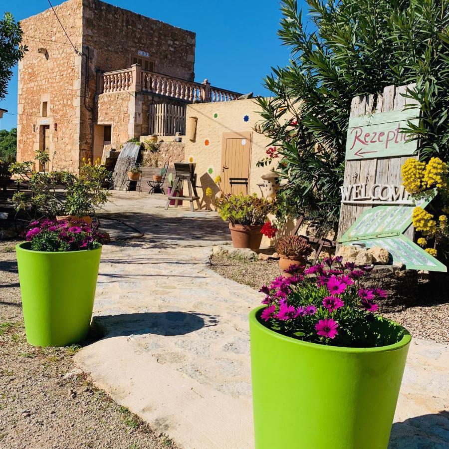 Agroturismo S Hort De Can Carrio Ag226 塞萨利内斯 外观 照片