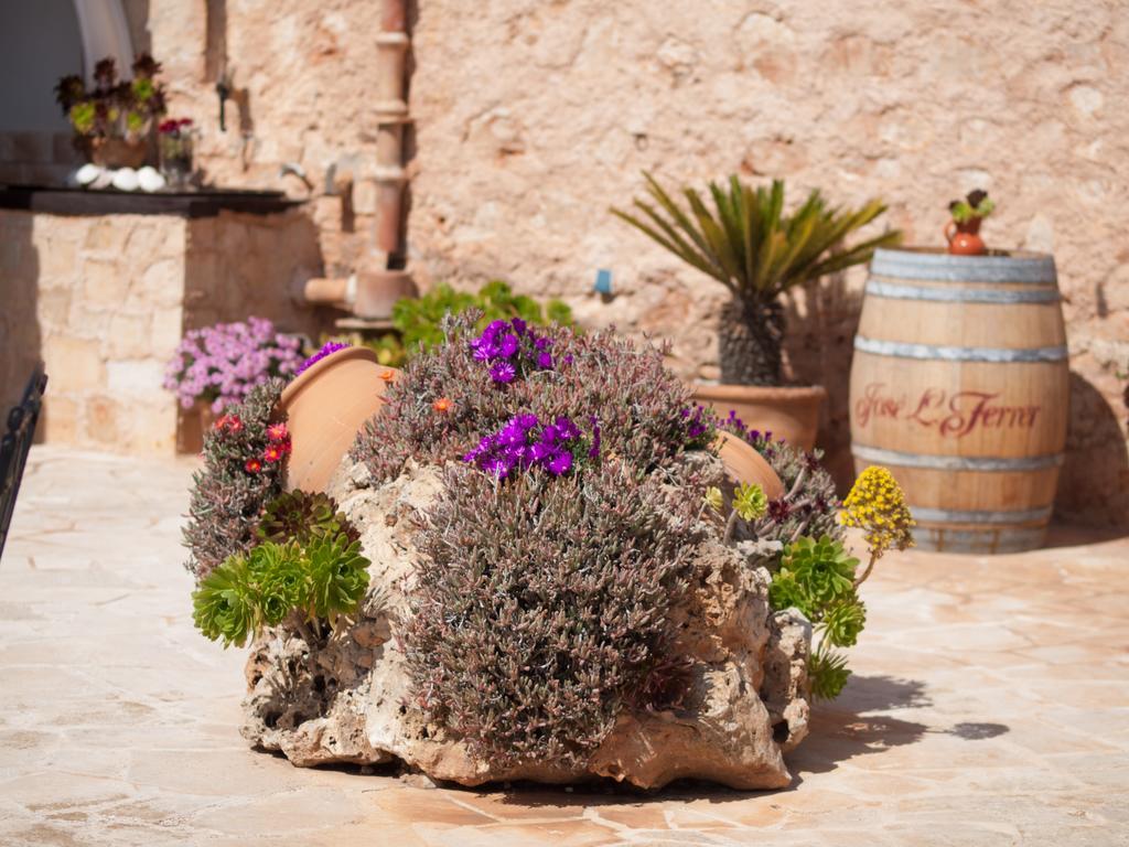 Agroturismo S Hort De Can Carrio Ag226 塞萨利内斯 外观 照片