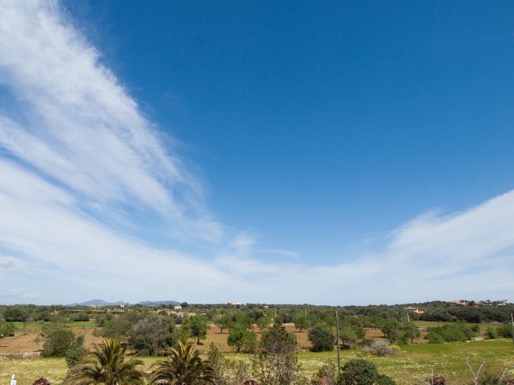 Agroturismo S Hort De Can Carrio Ag226 塞萨利内斯 外观 照片